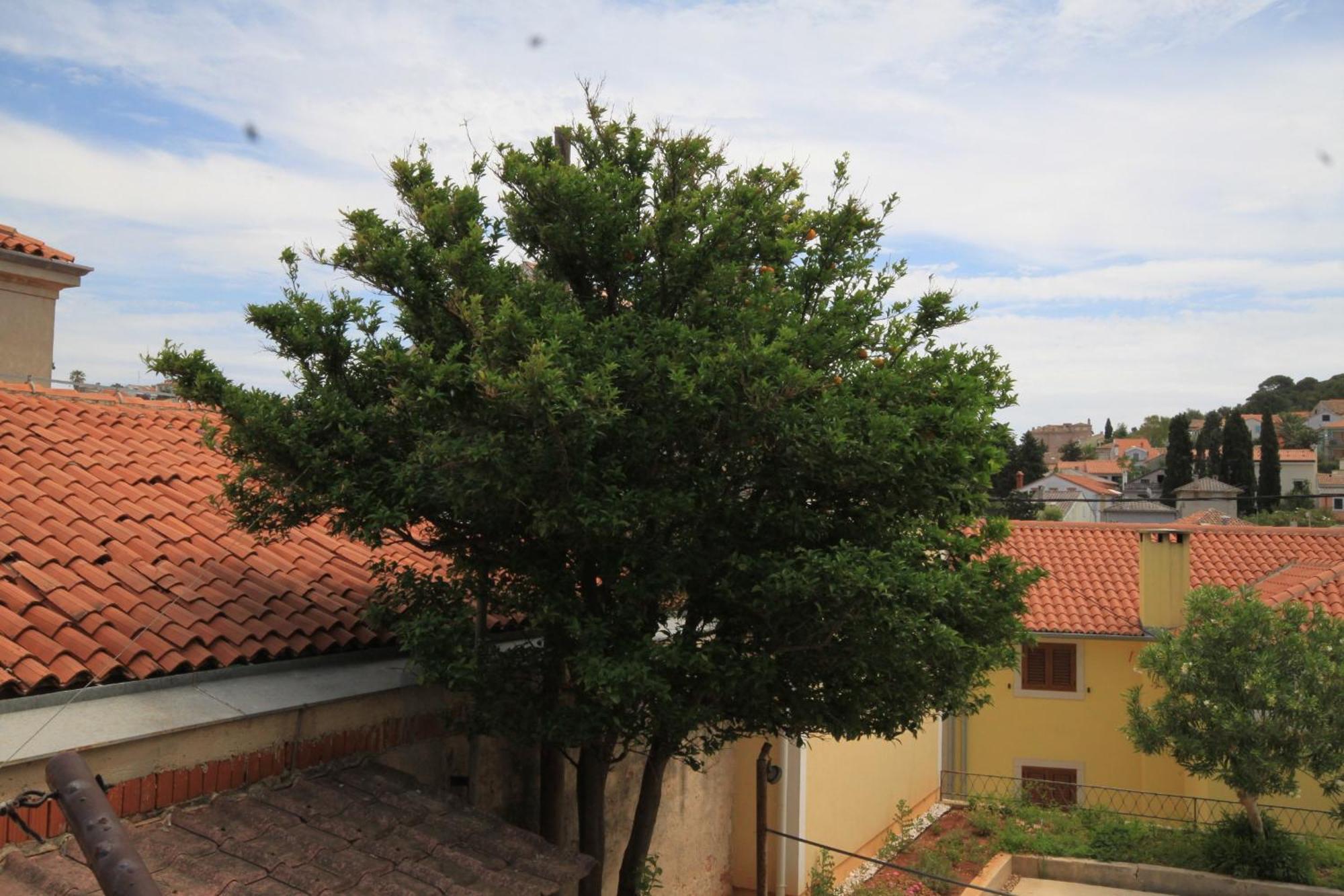Apartments And Rooms With Parking Space Mali Lošinj Dış mekan fotoğraf